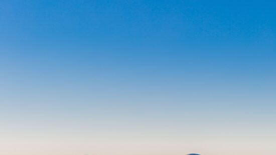 NDP statement following the Brussels attacks