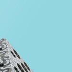 Disclose all the Secret Space Programs and release all the hidden technologies