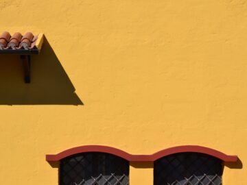 An Appeal for Suo Moto Cognizance for the Victims of the DHFL Scam